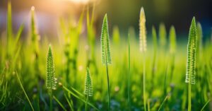 Skrzyp polny oprysk: Skuteczne metody i domowe sposoby zwalczania chwastu