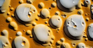 Purchle na ścianie od wilgoci: Usuwamy bąble i malujemy ściany!