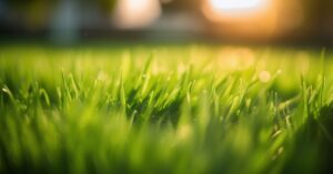 Siarczan amonu na trawnik: zastosowanie, efekty i dawkowanie