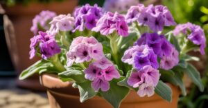 Maciejka wieloletnia: uprawa, pielęgnacja i sekrety pięknego kwitnienia