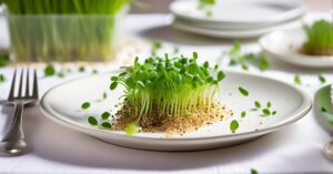 Kiedy siać rzeżuchę na Wielkanoc? Sprawdź, by wyrosła na święta!