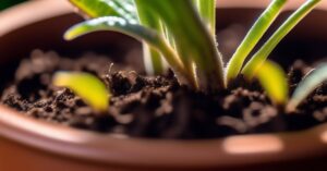 Skoczogonki w doniczce: poznaj problem i skutecznie się ich pozbądź!