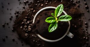 Fusy z kawy jako nawóz: odżywiaj rośliny ekologicznie!