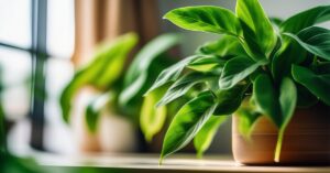 Polysect: Twój sojusznik w walce ze szkodnikami roślin